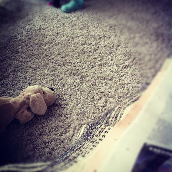 148436_10151171205218953_1883000762_n